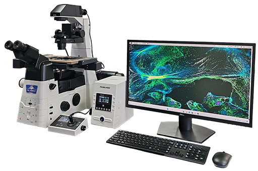 研究型全電動(dòng)倒置顯微鏡CREATIVE I1-E